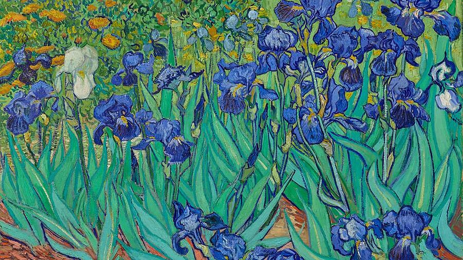 Van Gogh Zoom background offered by the Getty