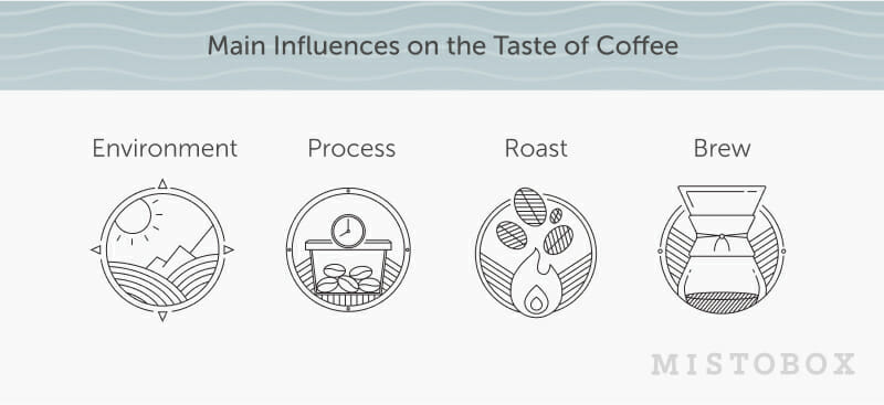 influences on the taste of coffee