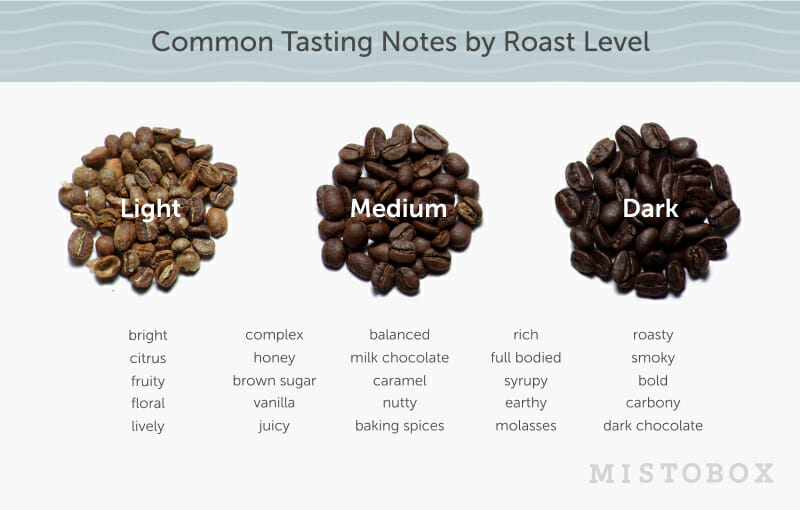 Understanding Taste And Coffee Flavor Notes Mistobox Coffee Blog