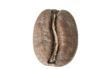 Medium roast coffee bean 