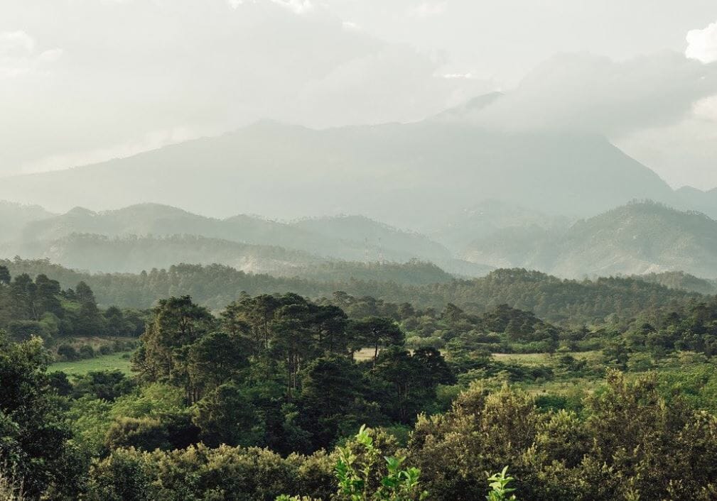 Beautiful view of Finca Terrerito, an Alma Family Farm in Honduras.